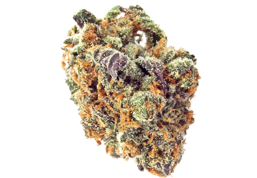Cannabis
